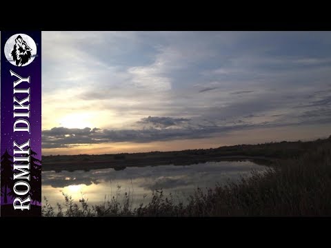 Видео: Открытие охоты на утку. Совместил с рыбалкой. Орловские озера. 6-9 сентября 2019г.