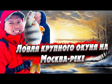 Видео: Как и где поймать крупного окуня на реке зимой? | Ловля на Каролину | Джиг Риг | Микроджиг