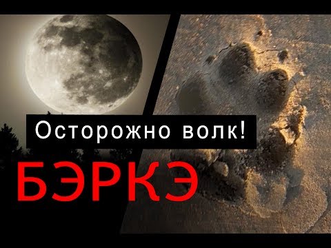 Видео: Охота на волка в Якутии. Осторожно волк!