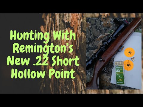 Видео: Охота с .22 Short Hollow Point