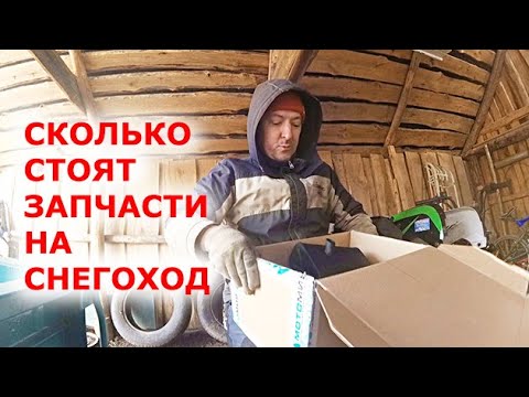 Видео: Сколько ДЕНЕГ высосал СНЕГОХОД Динго т150? А ведь ещё даже не катался!