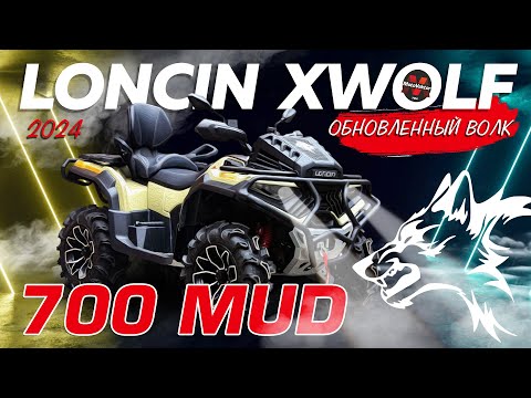 Видео: Волк или нет? Обзор на обновленный Loncin Xwolf 700 MUD 2024 #квадроцикл #loncin