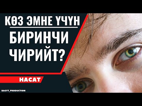 Видео: КӨЗ ЭМНЕ ҮЧҮН БИРИНЧИ ЧИРИЙТ?