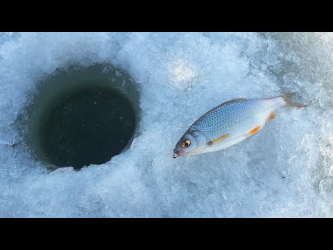 Видео: ВЫШЛИ НА ПОСЛЕДНИЙ ЛЕД И ПРОВАЛИЛИСЬ.  РЫБАЛКА В ЧЕРНОИСТОЧИНСКЕ ПОД НИЖНИМ ТАГИЛОМ.