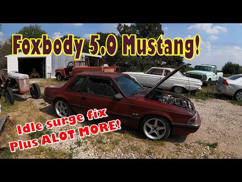Видео: Ford Mustang Foxbody 5.0 прибыл на осмотр и ремонт. УСТРАНЕНЫ скачки оборотов холостого хода!