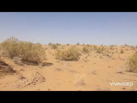 Видео: Мен жүрген көшелер(1)