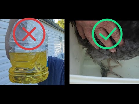 Видео: Как лечить и предотвращать появление чешуйчатых клещей на ногах [] 100% эффективно [] Так просто!