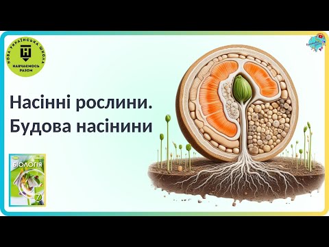 Видео: Насінні рослини.  Будова насінини.
