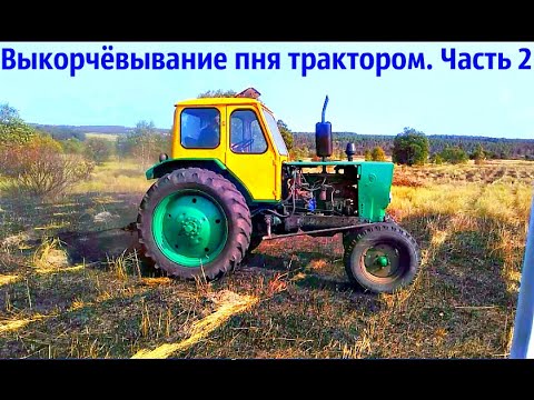 Видео: Выкорчёвывание пня трактором.| Часть 2