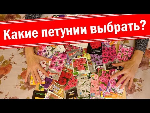 Видео: Какую петунию выбрать для себя? Мой выбор семян петуний 2019