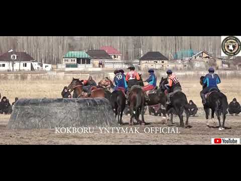 Видео: Көк Бөрү :  Талас району жана Манас району 7-февралда өткөн оюундун толук видеосу ЧОӉДОР АРАСЫНДА