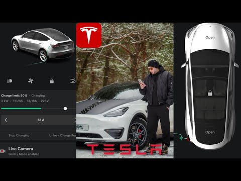 Видео: Мобильное приложение TESLA | Какие фишки | Как работает | Тесла Model Y PERFORMANCE