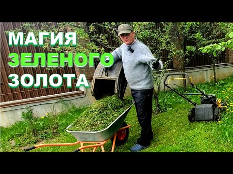 Видео: ТОП5 пользы от мульчирования скошенной травой