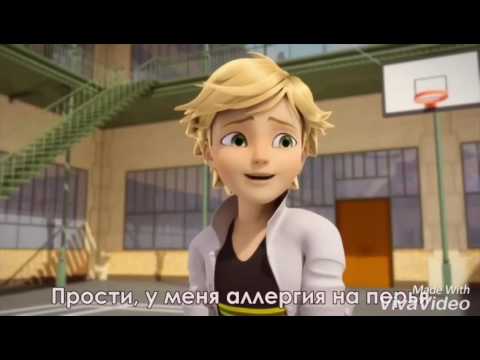 Видео: Леди Баг и Супер Кот приколы