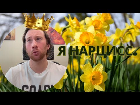 Видео: Психология нарциссизма: от здоровой самооценки до психического расстройства