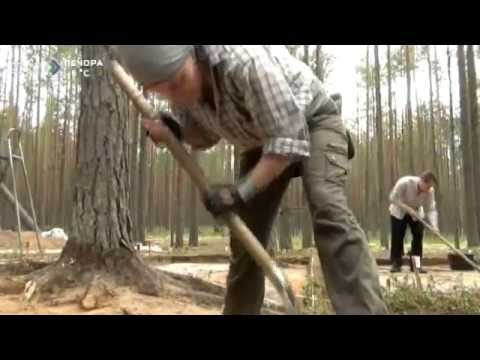 Видео: В Коми завершились раскопки Эжольского курганного могильника. 16 октября 2015