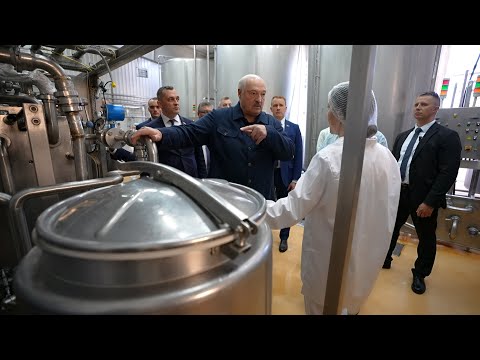 Видео: Лукашенко: Ты меня в сыры не уводи! ГДЕ очистные? // Цех по производству сыров. Копысь