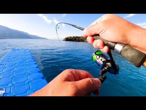 Видео: ОБОЖАЮ ЛОВИТЬ ТАКУЮ ДИЧЬ!! Турция, рыбалка, путешествие, рокфишинг. Микроджиг на море
