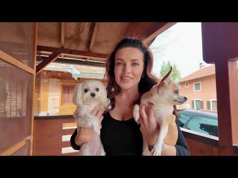 Видео: ВЫХОДНОЙ! Едем в сербскую деревню ловить клопов
