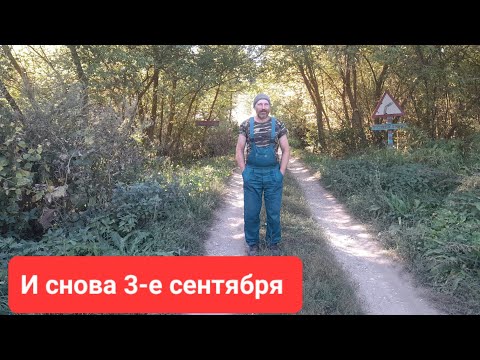 Видео: Осенние заботы Сергея Есенина. Как живёт отшельник по собственному желанию? Жизнь в деревне