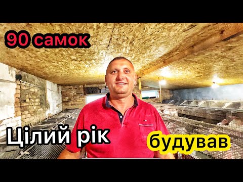 Видео: 💥Ферма кроликів!💥 Я тут кожен день, і цілий день🐰💥