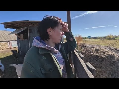 Видео: Взяла обманом за маму и папу!