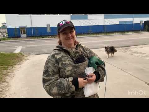 Видео: Домашняя  суета выезд за грибами