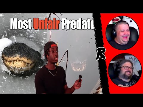 Видео: Почему это самый страшный хищник всех времён - @mndiaye_97 | РЕАКЦИЯ ОТСТУПНИКОВ