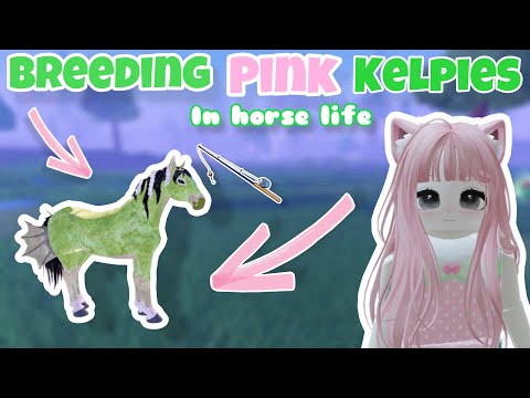 Видео: Разведение РОЗОВЫХ келпи в Horse Life?! 😱🎀 | Horse Life Roblox