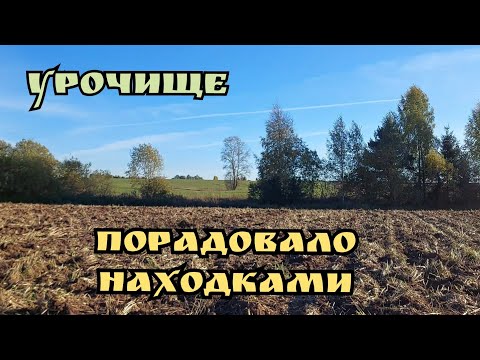 Видео: Урочище порадовало нахобками. Коп с  Nokta Find X Pro