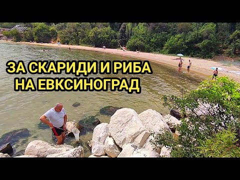 Видео: Лов на едри скариди в залива до царския дворец! Риболов на попчета на буната на Евксиноград!