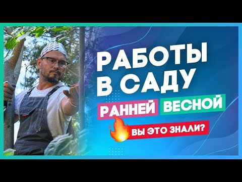 Видео: Ранняя весенняя обработка сада. Не тратьте время!