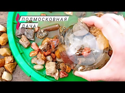 Видео: Камни под лупой. Много агатов и халцедонов. Изучаем камни на подмосковной даче