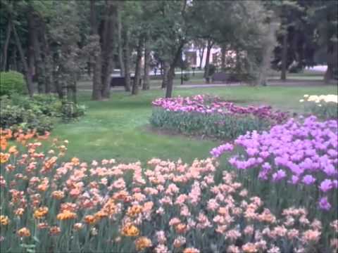 Видео: ПРОГУЛКА ПО ГОМЕЛЮ. ЧАСТЬ ПЕРВАЯ
