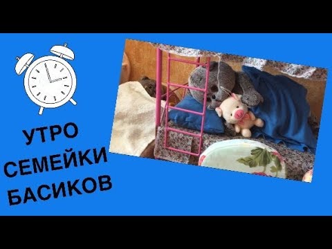 Видео: Утро СЕМЕЙКИ БАСИКОВ. Хозяйка наказала и поставила в угол / Семейка Басиков