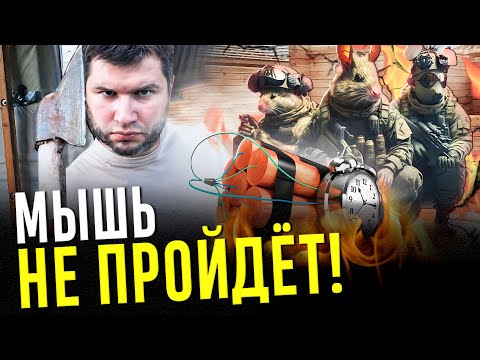 Видео: Как защитить ДОМ ОТ МЫШЕЙ! Что сделать, чтобы мыши перестали проникать в деревянный дом
