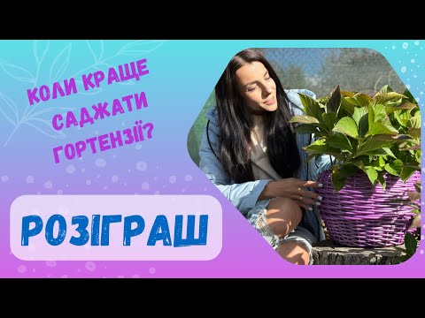 Видео: Результати розіграшу.