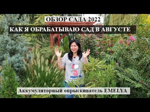 Видео: ОБЗОР САДА И ОБРАБОТКА сада  В АВГУСТЕ | Аккумуляторный опрыскиватель EMELYA ЦВЕТУЩИЙ ГЕПТАКОДИУМ