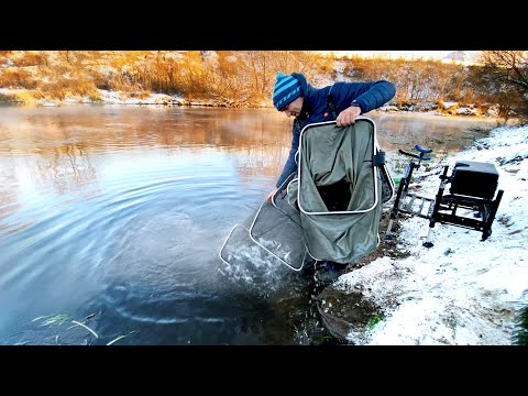 Видео: Зимняя РЫБАЛКА на фидер?!! НЕт. Видео ОТЧЕТ о ЗИМНЕЙ ловле на ПИКЕР. Feeder fishing Пузанов  #59