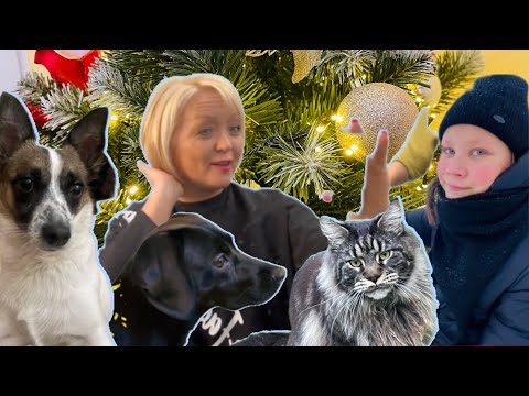 Видео: 🎄С НАСТУПАЮЩИМ НОВЫМ ГОДОМ!🎄31 ДЕКАБРЯ С РИТОЙ!❤️