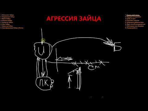 Видео: Как прекратить бездействовать, бояться, экономить и уступать? Агрессия Зайца