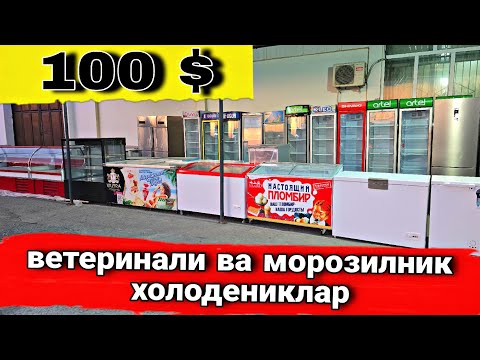 Видео: Халаденик  нархлари