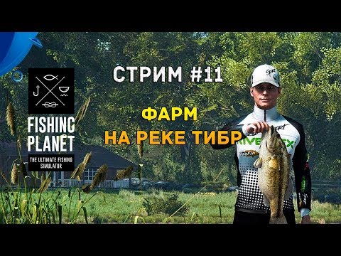 Видео: Стрим Fishing Planet #11 - Фарм на реке Тибр