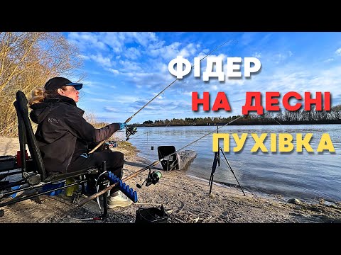 Видео: Фідер на Десні. Риболовля в Пухівці 🎣 2025