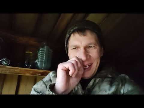 Видео: Вчера вернулся с похода. Становится не легко ходить на лодке. 15.10.25