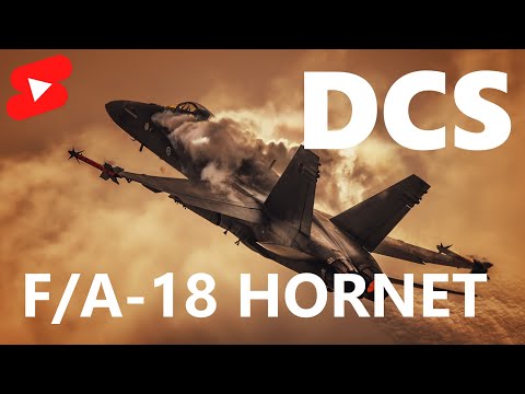 Видео: 🚀 Боевая группа - на вылет! #dcs #dcsworld #vr #shorts
