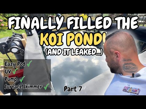 Видео: Часть 7. Первый раз заполняю пруд для карпов кои! Установил Eazy Pod, УФ-фильтр, насос и скиммер.