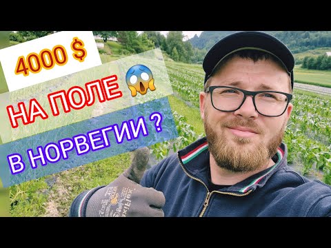 Видео: Сезонная Работа в Норвегии & Сколько Платят? & Кому Подойдут Сезонные Работы в Норвегии ?