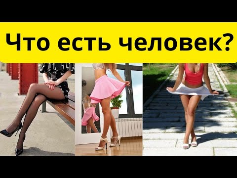 Видео: Что есть человек?