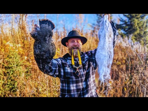 Видео: Охота с рогаткой: тетерев и заяц-беляк на Аляске.